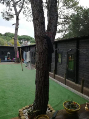 Surf Camp Ecológico